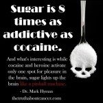 ADDICTIVE Sugar